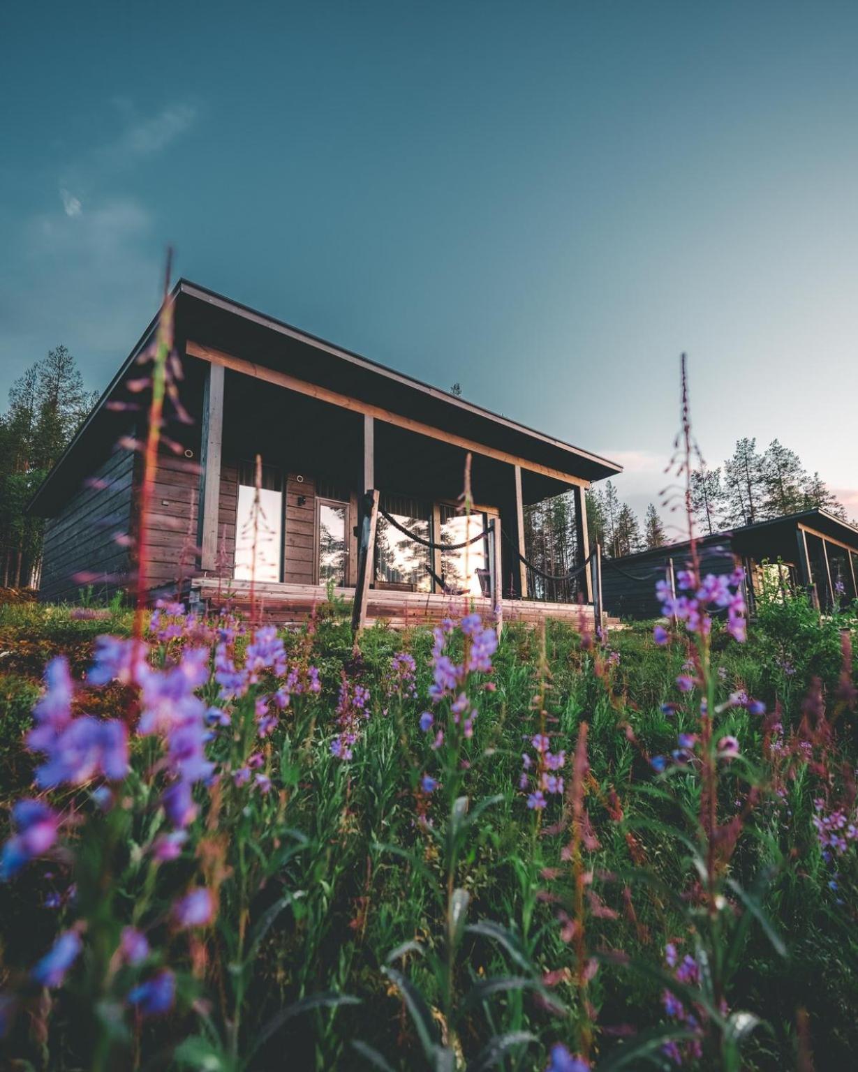 Arctic Treehouse Hotel Rovaniemi Buitenkant foto